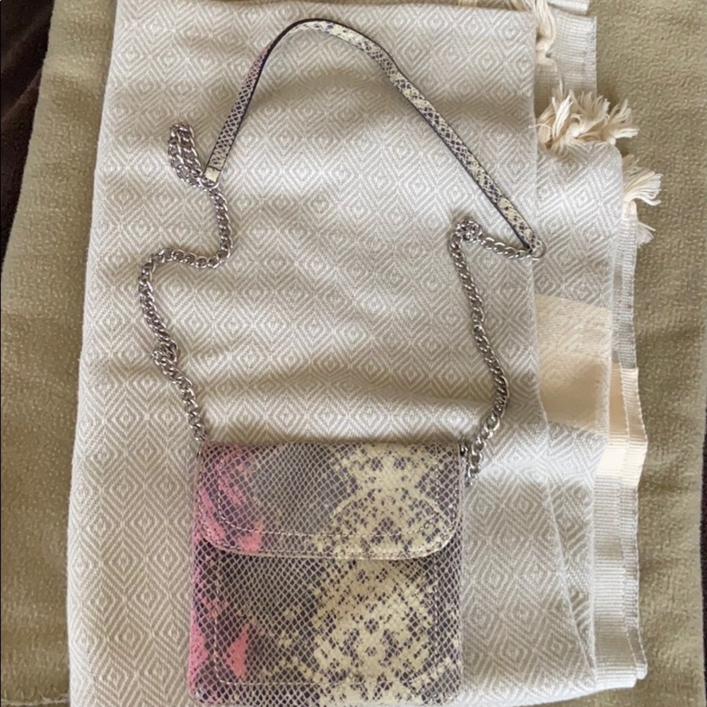 Banana Republic Snakeskin chain bag